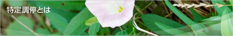 蒲Ƃ