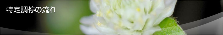 蒲̗